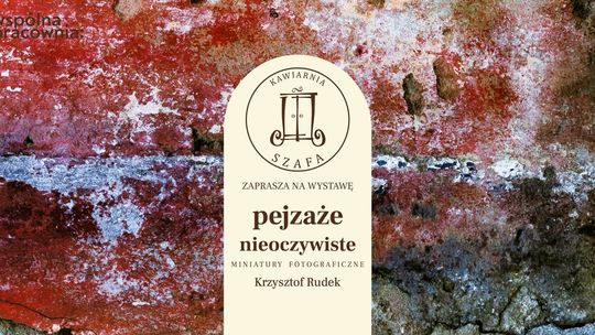 Wernisaż Krzysztofa Rudka w Gdańsku – „Pejzaż nieoczywisty” w Kawiarni Szafa