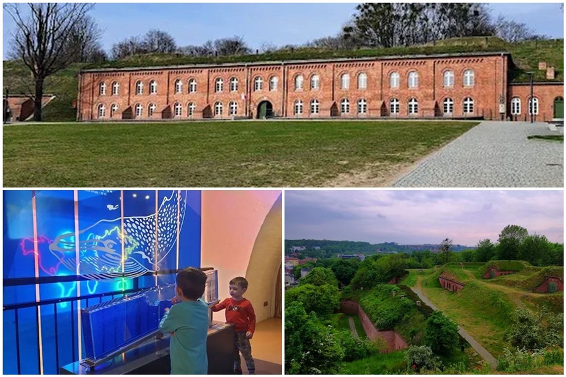 Wakacje pełne odkryć – centrum nauki Hevelianum zaprasza na Górę Gradową i do Domu Zdrojowego w Brzeźnie! Wakacje pełne odkryć – centrum nauki Hevelianum zaprasza na Górę Gradową i do Domu Zdrojowego w Brzeźnie!