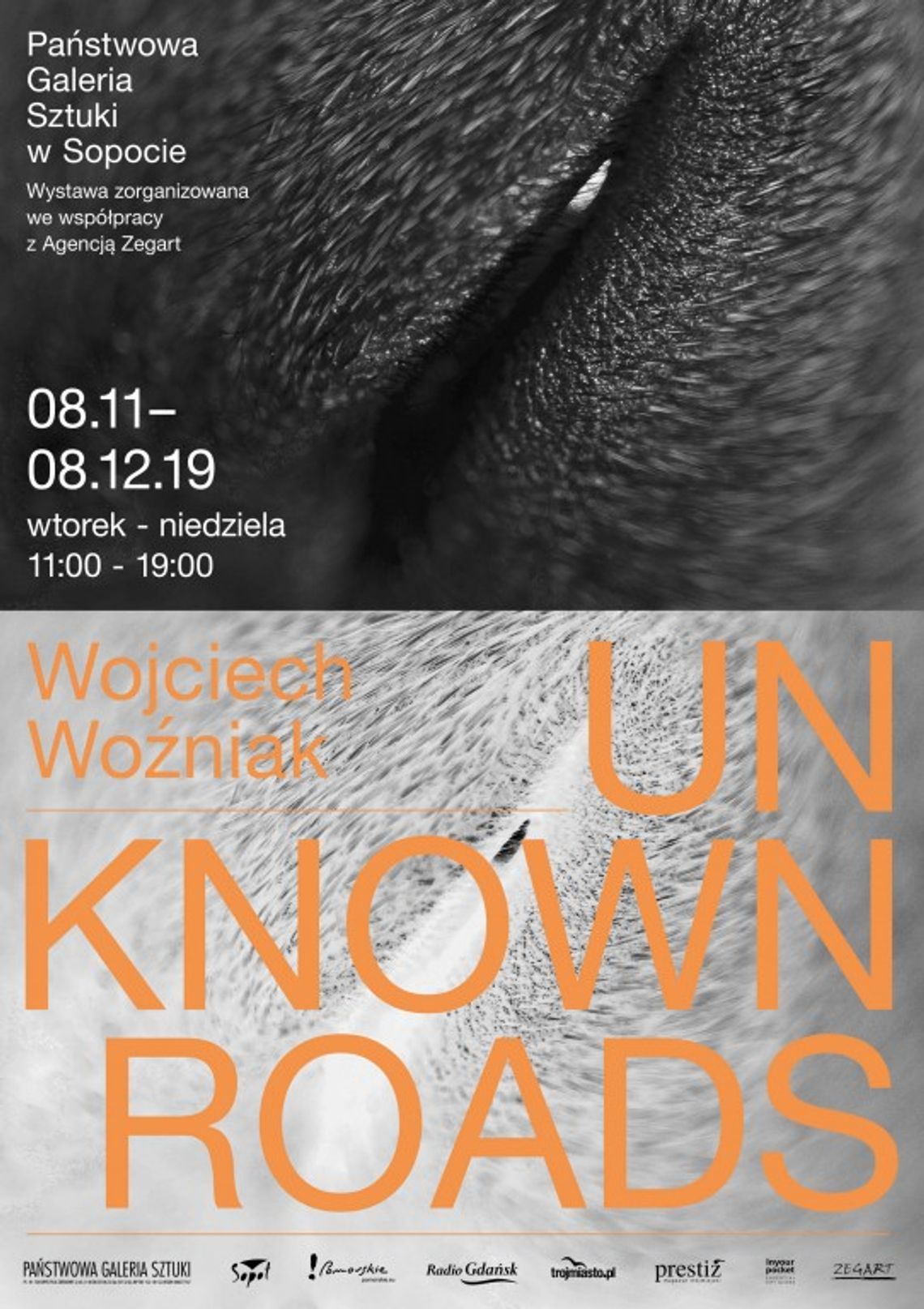 Wojciech Woźniak: Unknown roads - wystawa