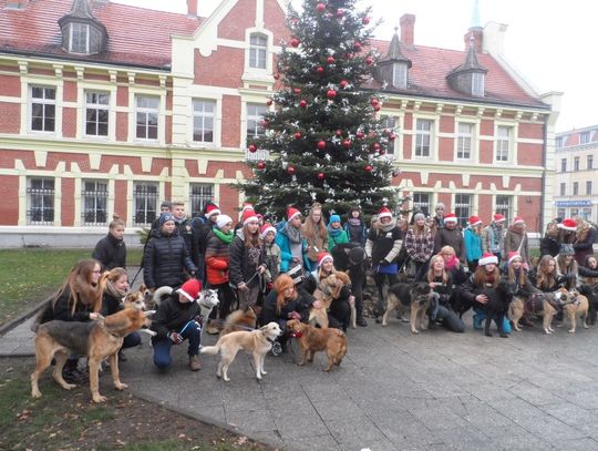 Mikołajkowy "Spacer przyjaźni" 