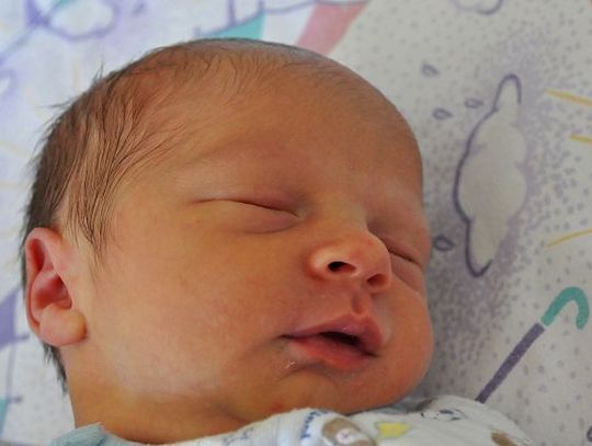 Maluszki - nowi mieszkańcy