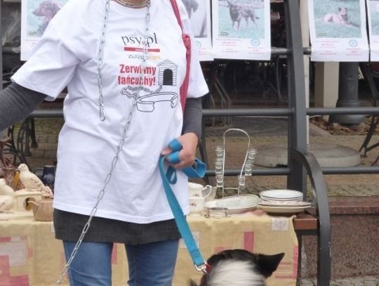 Zerwijmy Łańcuchy w Malborku