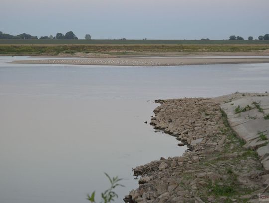 Niski stan wody w Wiśle