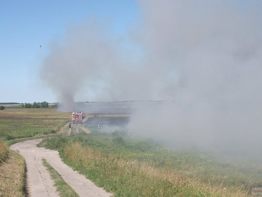 Akcja strażacka przy wypalaniu trawy na Os. Staszica