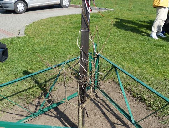 Uczcili pamięć ofiar katastrofy smoleńskiej