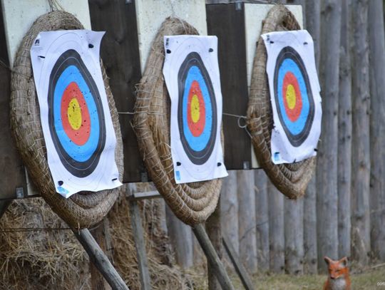 Pokaz walk średniowiecznych w Faktorii