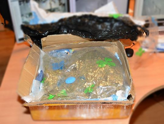 fot. KMP Gdańsk / Specjalista z laboratorium kryminalistycznego Policji określił, że zabezpieczona substancja to ponad 2 kilogramy marihuany.