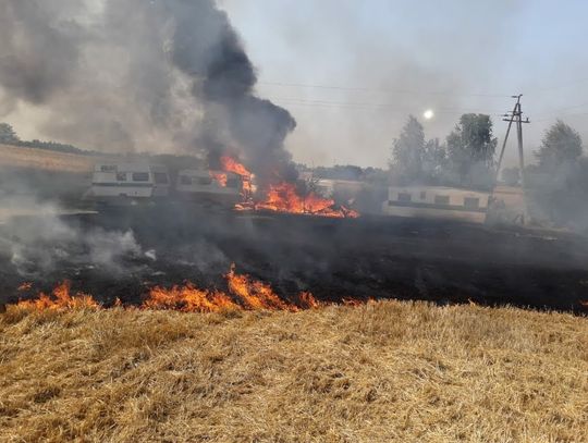 Fot. W. Mocny Fot. W. Mocny